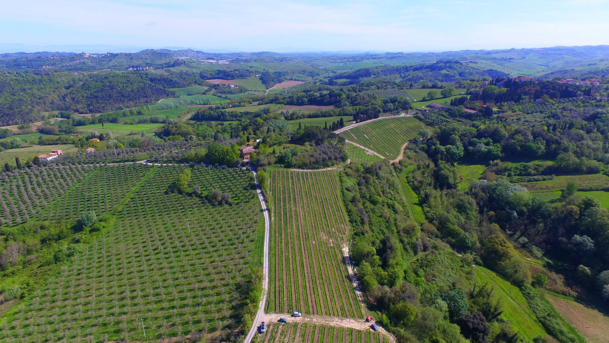 Tenuta di Ghizzano