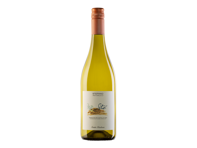 Santa Barbara - Ste Bianco Verdicchio