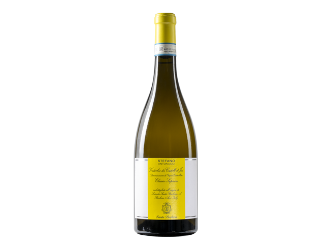 Santa Barbara - Verdicchio Classico Superiore '21 (May/June)