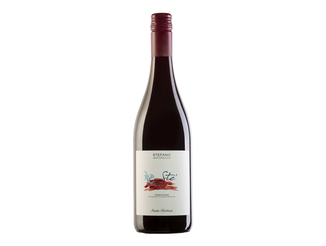 Santa Barbara - Ste Rosso Piceno '23