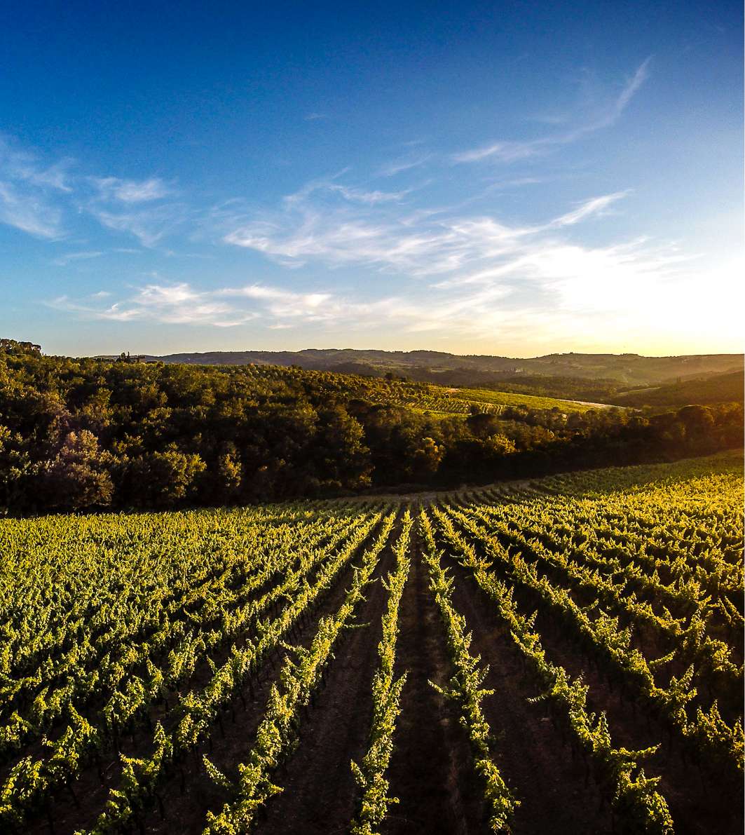 Tenuta di Nozolle