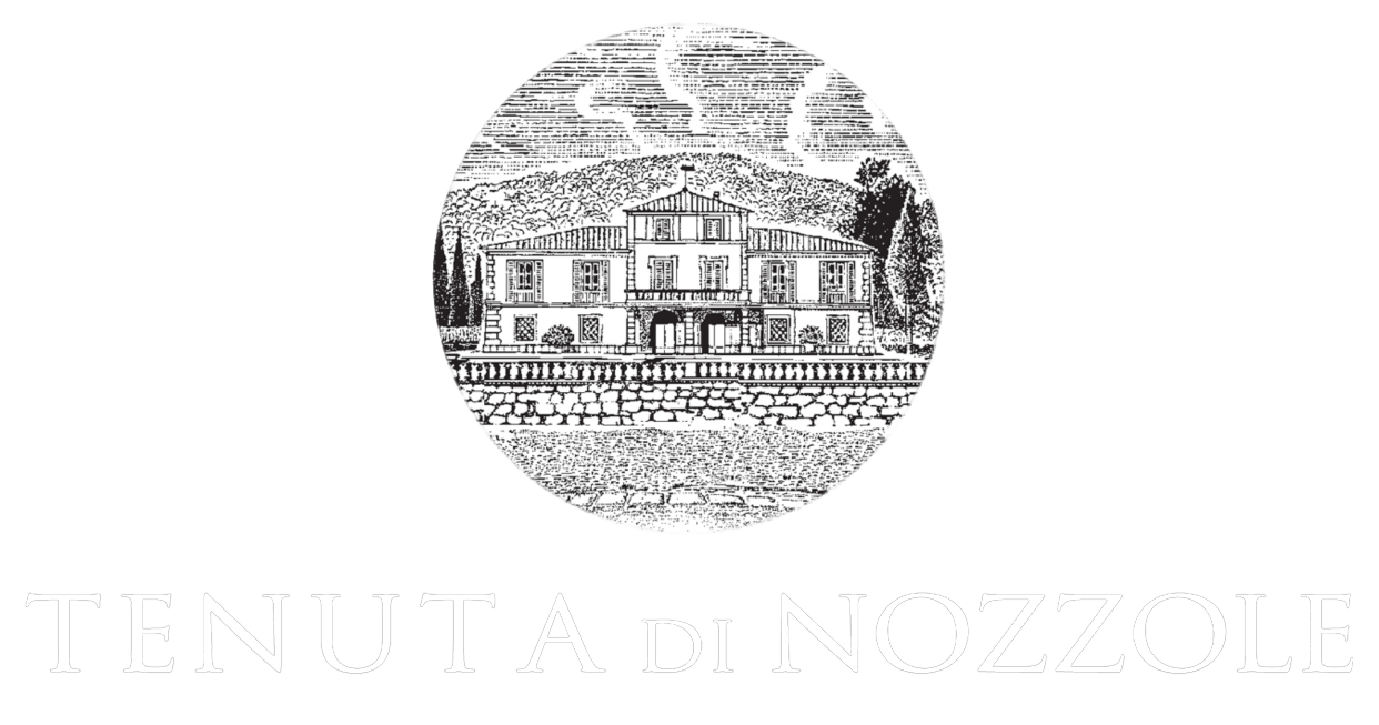 Logo Tenuta di Nozolle