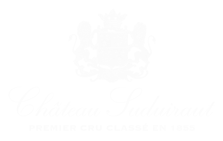 Logo Château Suduiraut